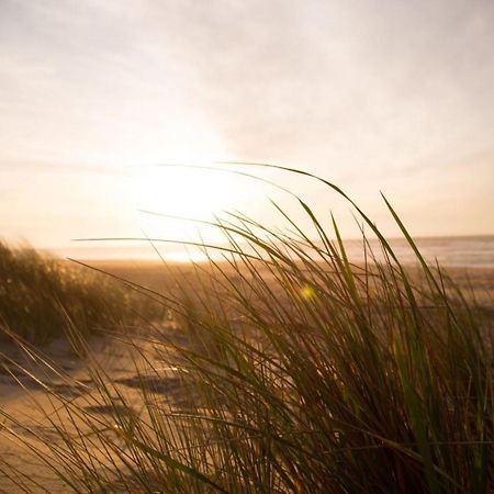 Grosse Nordseewelle Ohne Hund Норден Екстериор снимка